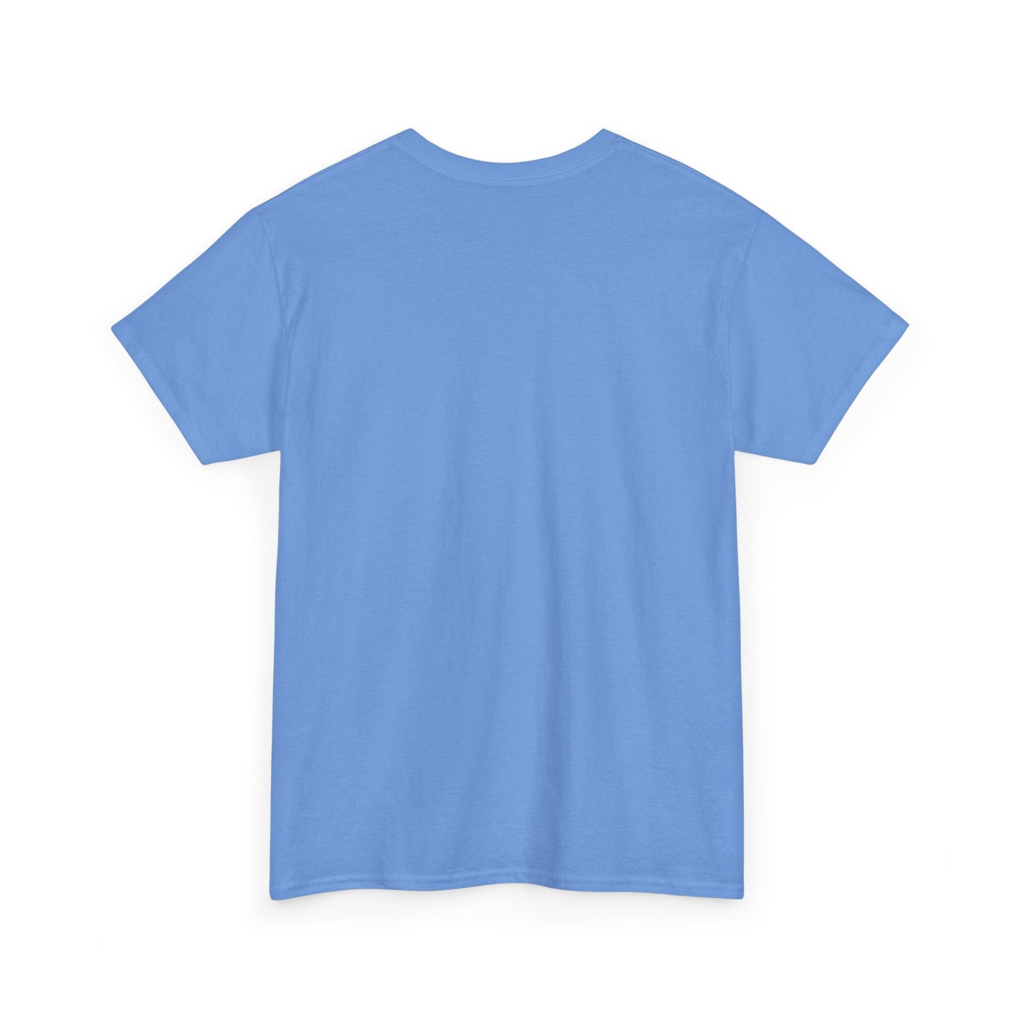 Cute Cat T-Shirt All You Need is Love & a Cat Unisex Jersey Short Sleeve Tee